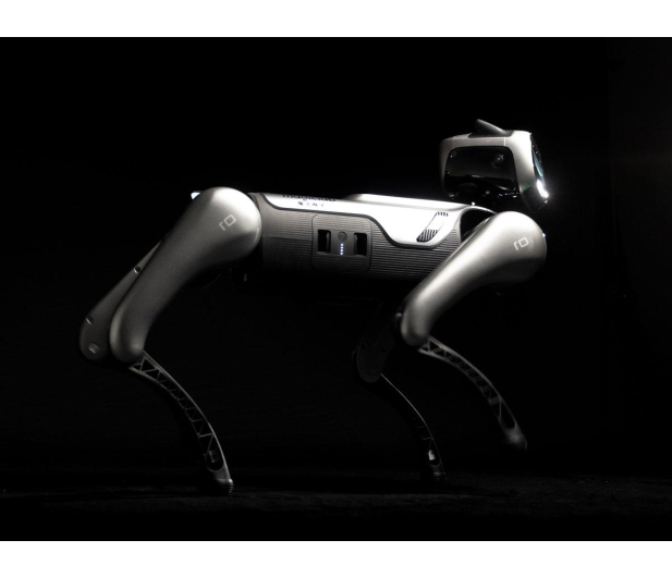 Magiclab Magicdog Edu - 1470907 - zdjęcie 13